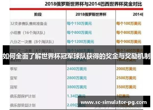 如何全面了解世界杯冠军球队获得的奖金与奖励机制