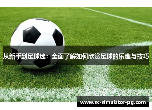 从新手到足球迷：全面了解如何欣赏足球的乐趣与技巧
