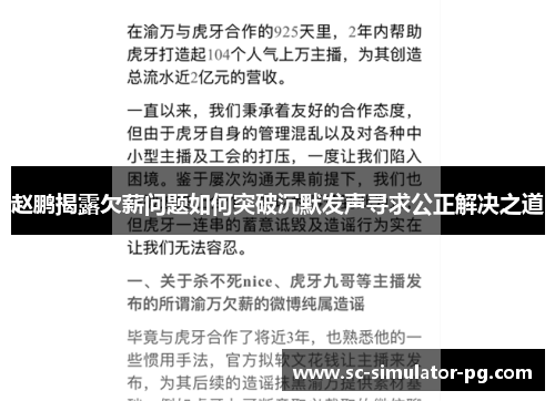 赵鹏揭露欠薪问题如何突破沉默发声寻求公正解决之道 赵鹏揭露欠薪问题如何突破沉默发声寻求公正解决之道